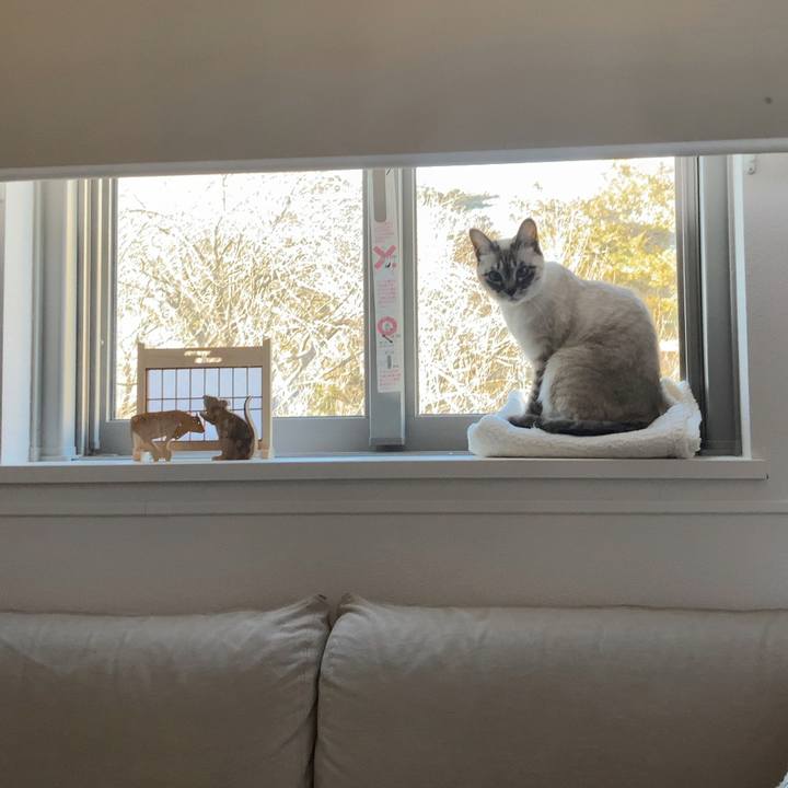 4992ea24 0b5f 4bde b9e9 b63d1ffe70c7 1612852052911