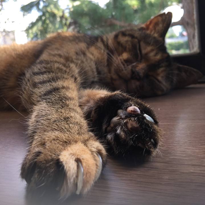 4992f98b 1cd9 4001 a467 2e3fed4ac8a7 1539498789103