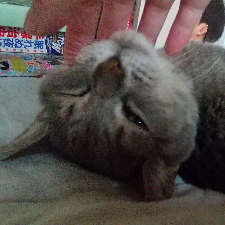 499325c2 2005 494a 90e5 8d2c860e85f0 1694384132156