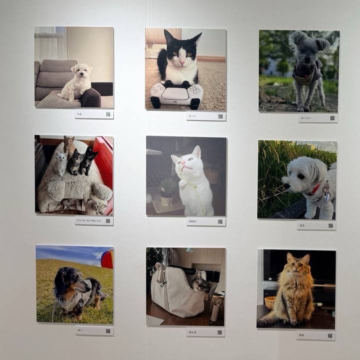 49934ae0 b299 4f20 b823 e427639cfbd4 1761555918624