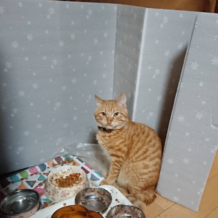 49934e1c 5a8b 47f1 a740 359f747c28fc 1641346336968