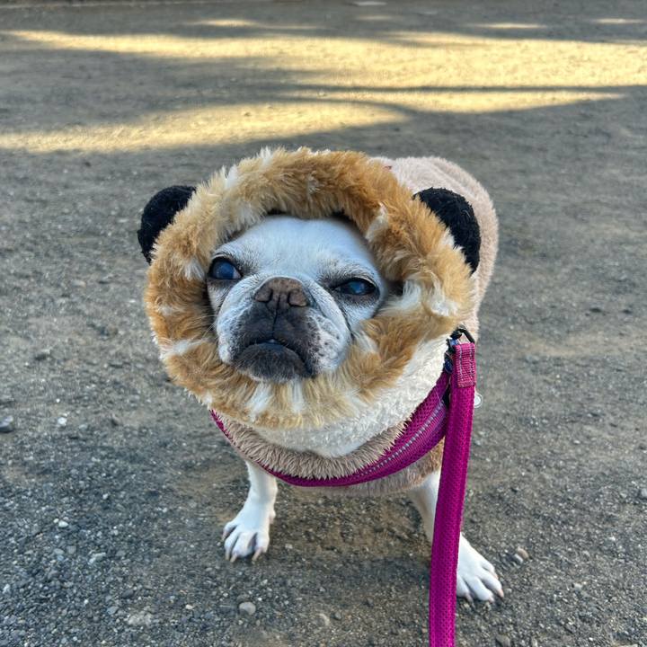 499358f4 3b47 495c 9621 92e48f9dee81 1735032279630