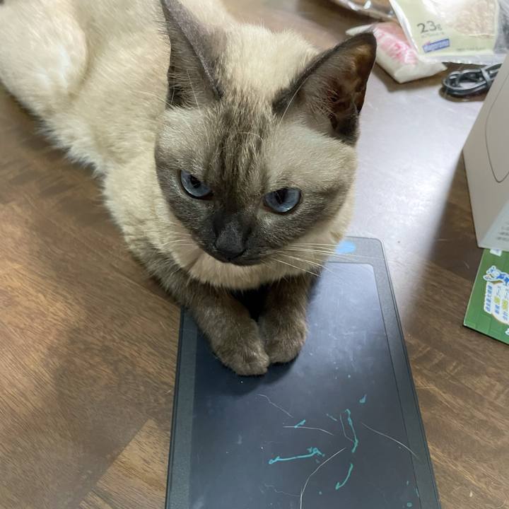 49936331 37f0 4774 8ffc efef260c8ea9 1759753085998