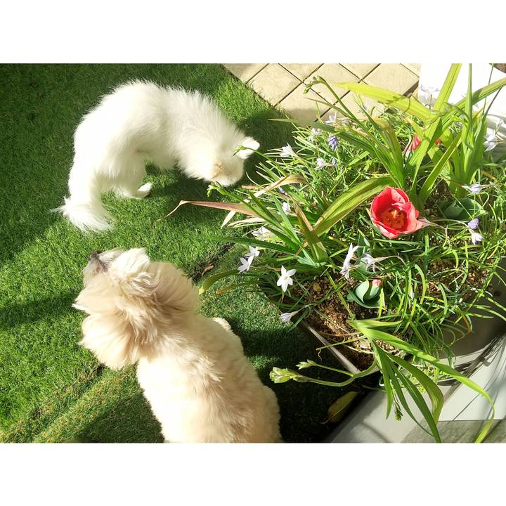 499366cf 3cc1 4866 b230 4d0a57dbd6a2 1678620008733