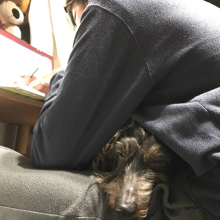 49938364 8a42 462d b0e1 98196c5e5f19 1511450376207