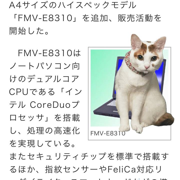 4993e906 16aa 47d6 84b3 e718ff357bd0 1767991044746