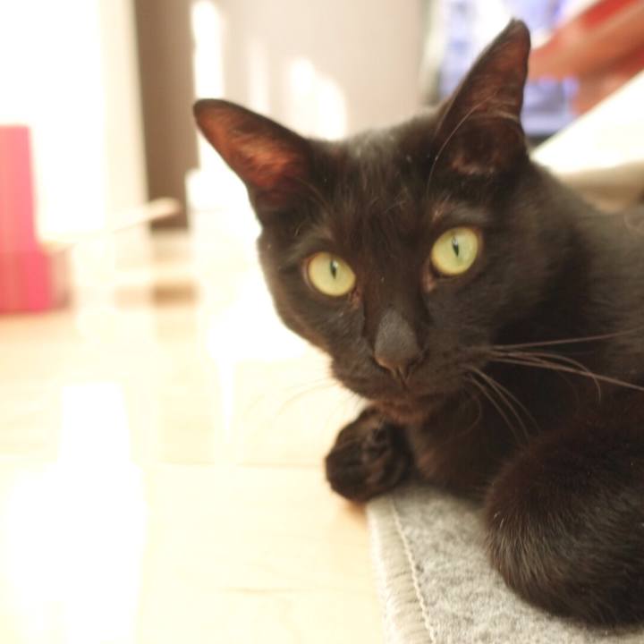 499400ee d986 41e0 be4f 785ab64030af 1517650750479