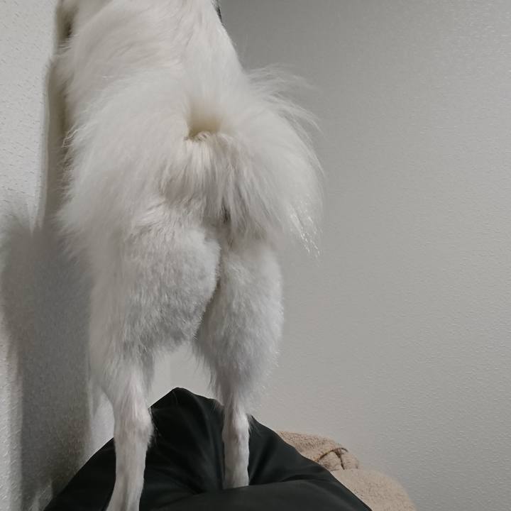 49945f0c 5bbb 4e97 8883 6a50dc0acd42 1554721622556