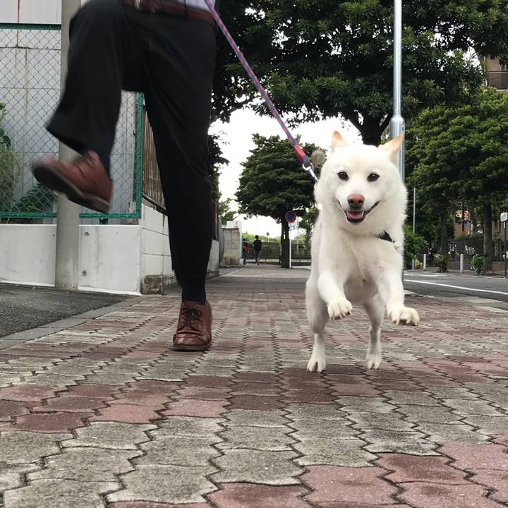 49946346 e5ab 45dd 96be 797fbafd24c7 1536277795000