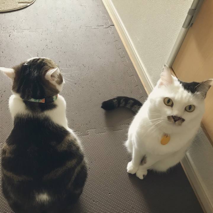 49949844 dd23 4e8a b930 02d661d4489e 1524881468976