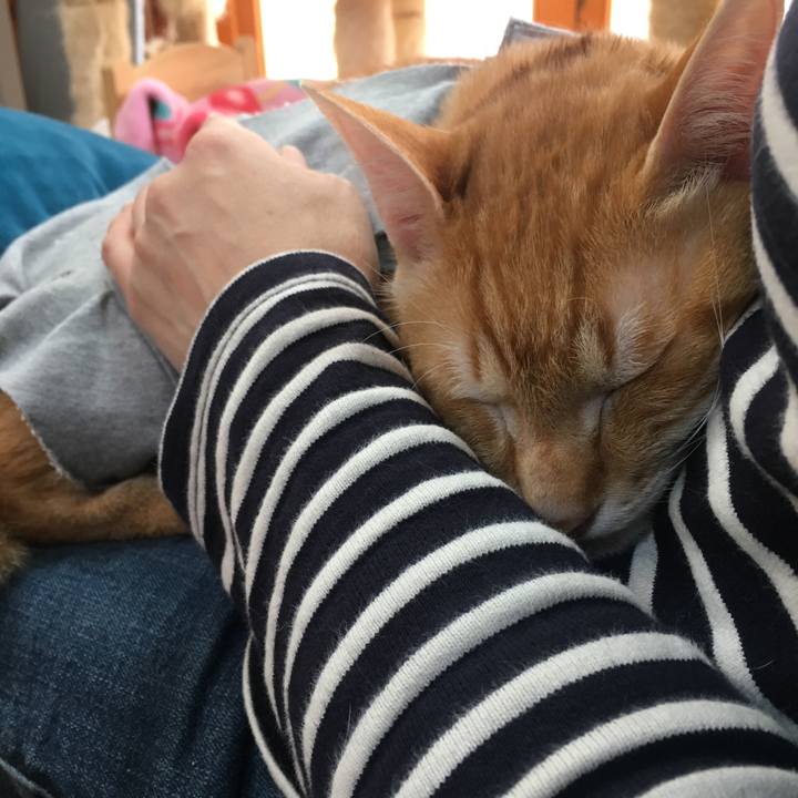 4994a279 2633 4c31 9105 34f6564cdaf4 1523762500693