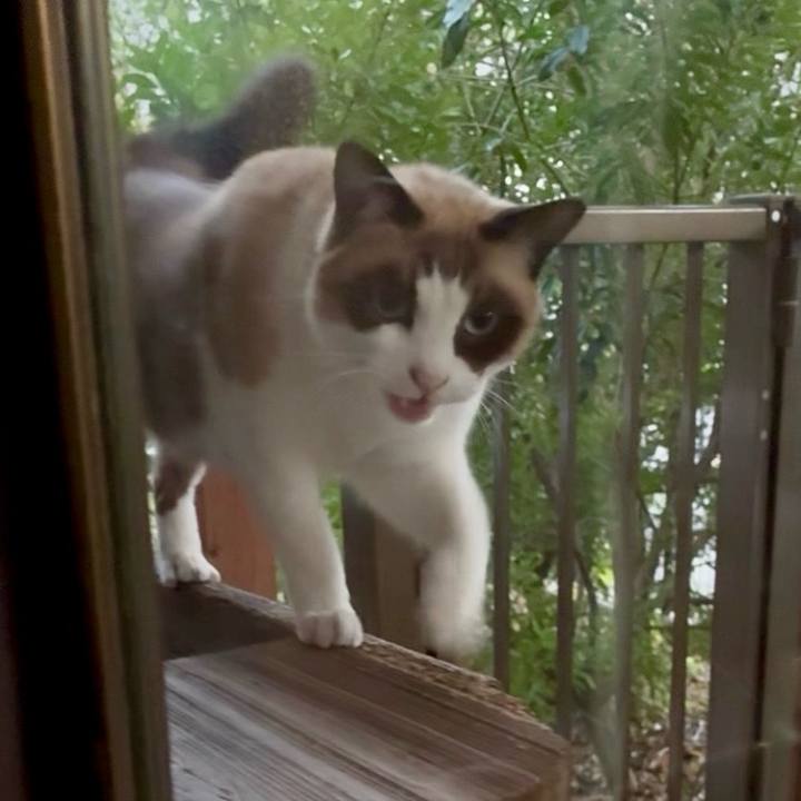 4994c7db ed1e 4900 9768 bc8e36b4b2db 1763031707477