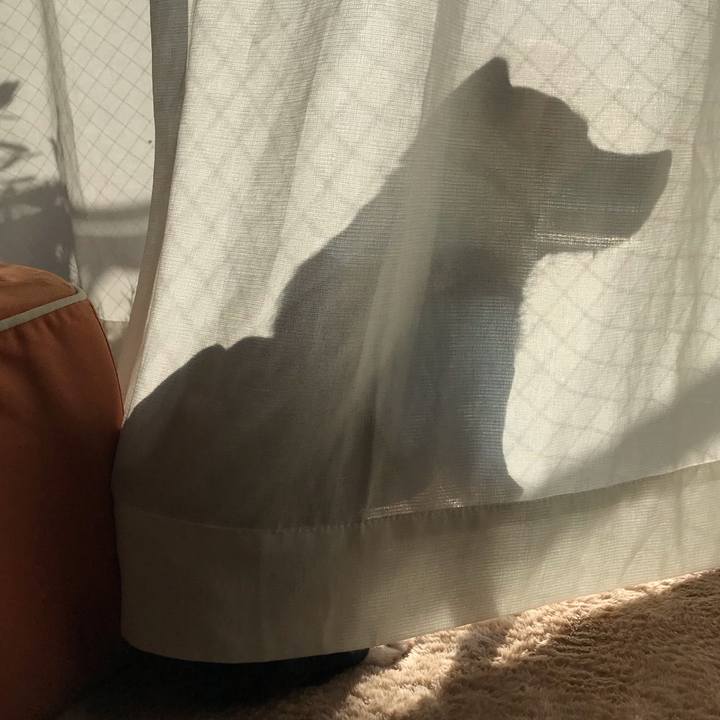 4994cb71 9fee 4313 9a1a a598a7413b0e 1547167590580