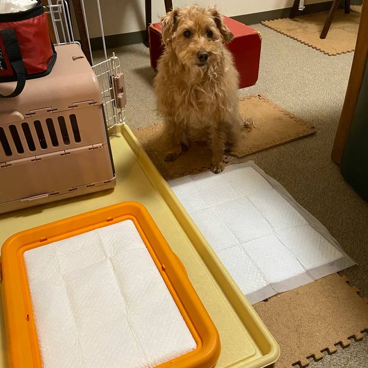 4994d9bc f3e7 49a4 bb82 54e928e08b99 1675764017808