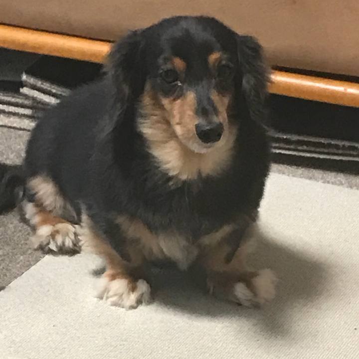 49950c9b 9af0 4b7a 8708 c0bd35887cc0 1536961263349