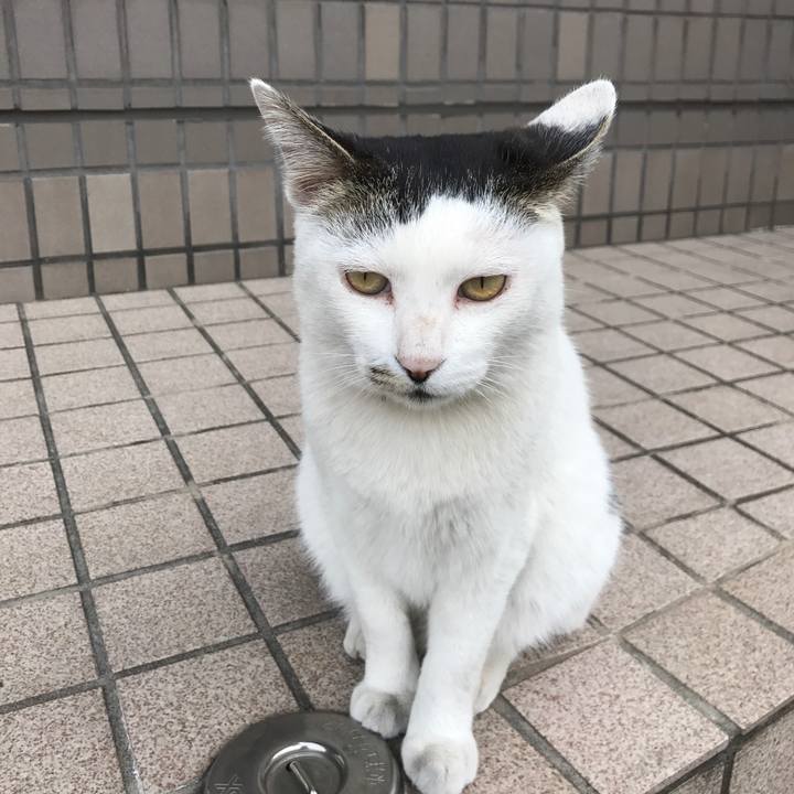 49952d2e 335c 43fd 8073 60dca46beac4 1555660317901