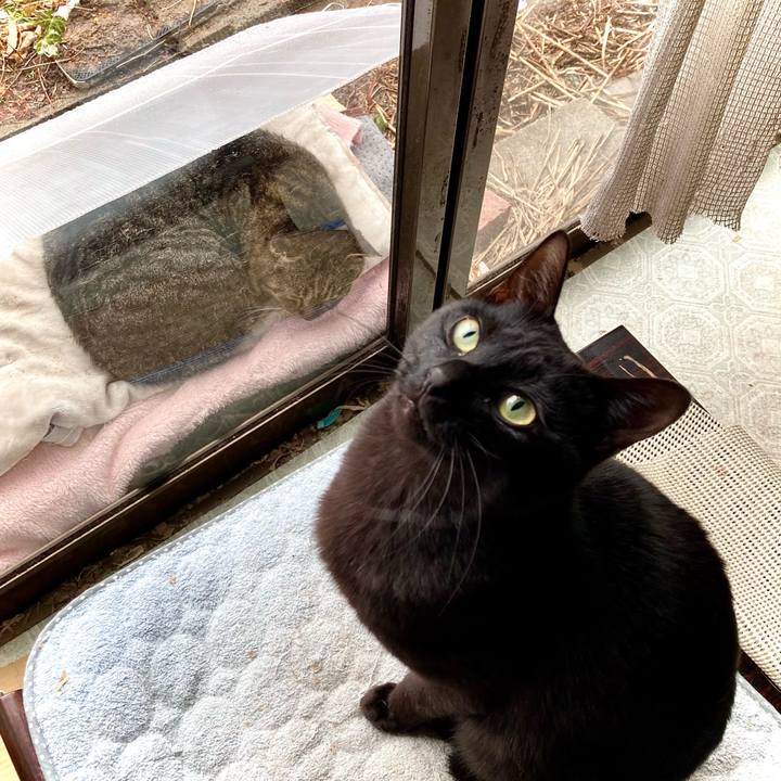 499541fe 75f7 4752 8bd4 02ffd31dc490 1676254485113