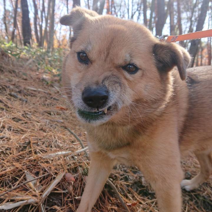 49954a40 79c1 4ff5 b1a8 d54f72f0b94a 1637659420400