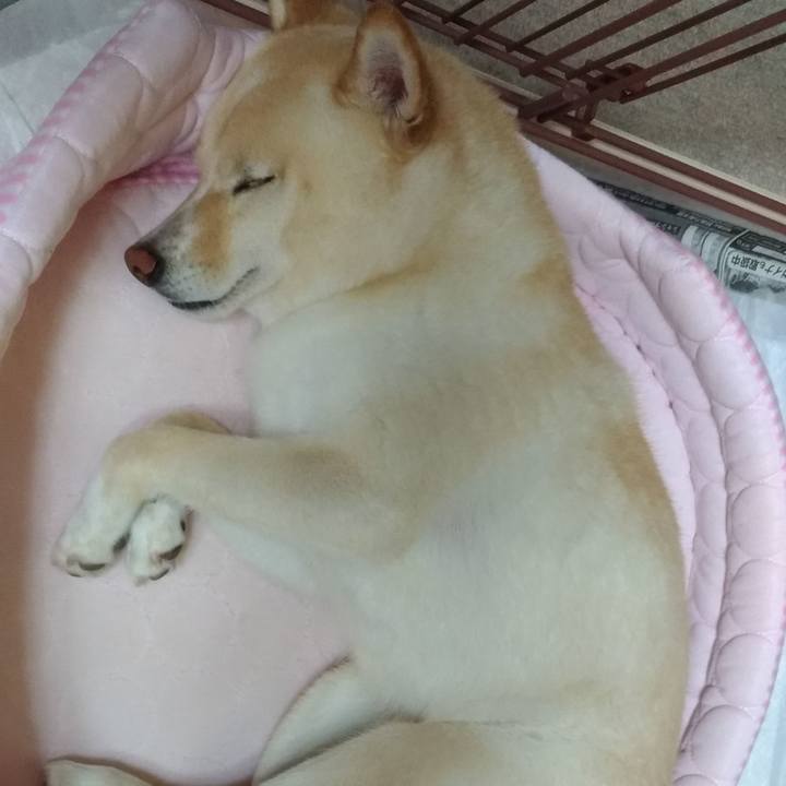 499553eb 3ecc 4955 b6a7 c2befd52c15a 1596286613947