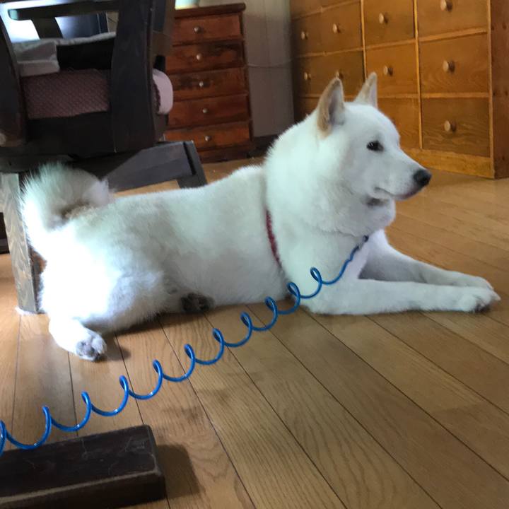 49956897 3edb 4576 8882 88c5d86909eb 1534287031322