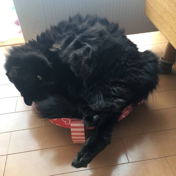 49957437 1377 4cc7 acd8 698a93e42fbe 1550281200340