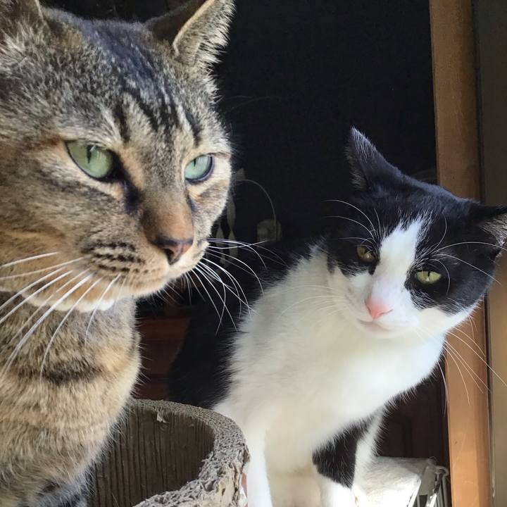 49957507 11c2 42d1 87a9 e5a7db9a53cf 1741950038238