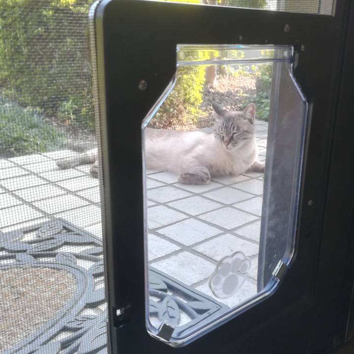 499581b8 2d9f 49bc 9a89 6dfb33469fb9 1591515676854