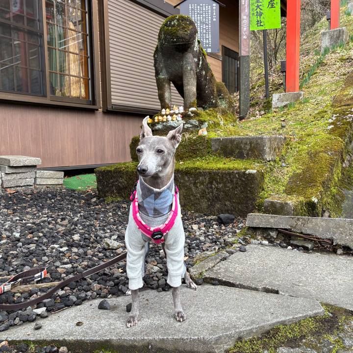 4995bc1a 4bb8 4df1 9477 330e3d3751e9 1776675731331