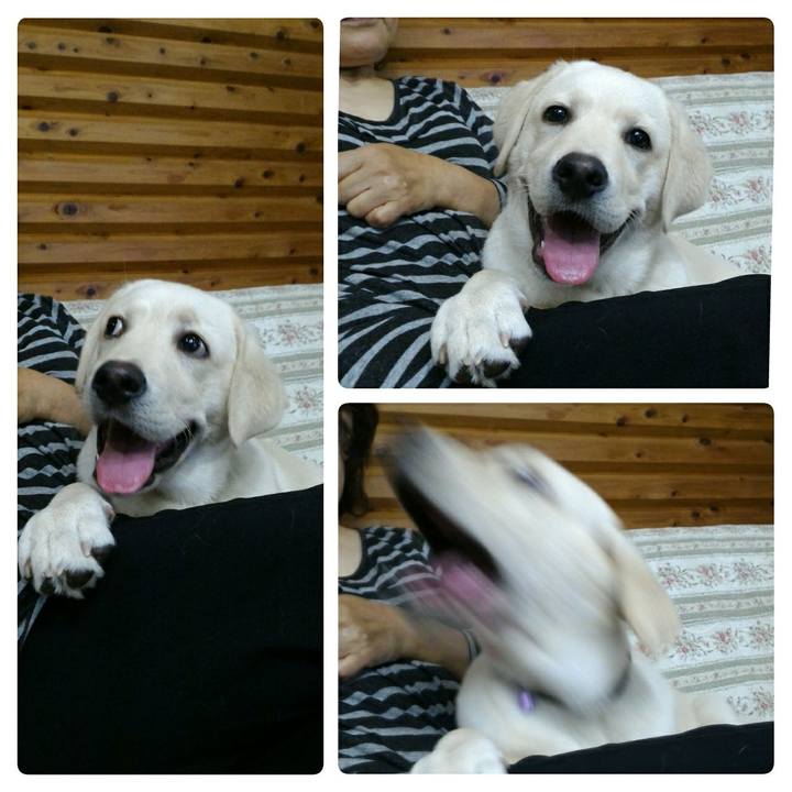 4995f20d 22fd 4c35 8685 419a954b130a 1518269881040