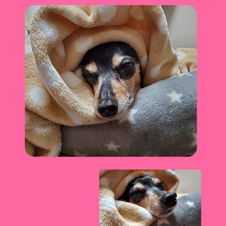 4996180f dbd1 4968 8ffd 68b4355d724b 1668778629073