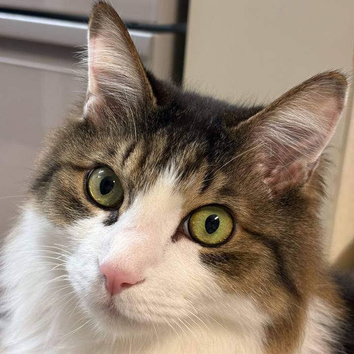 49966f2b 39ac 43f4 8b13 156676378fc5 1738445327697