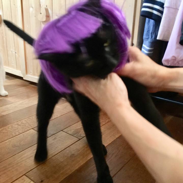 4996819b 0687 493c b48b 3e953dc79574 1537140052490