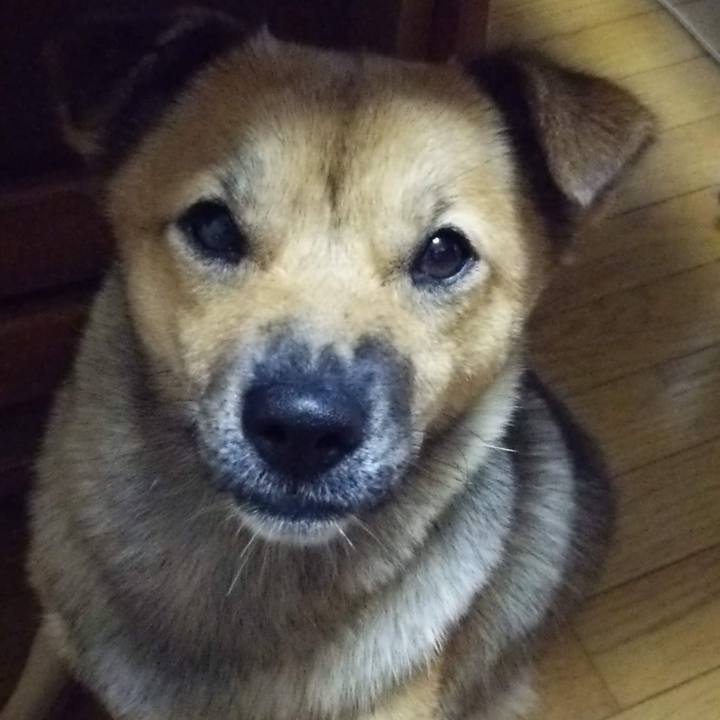 499685fa 1fb2 4ce0 8310 867f7296ab06 1644659662333