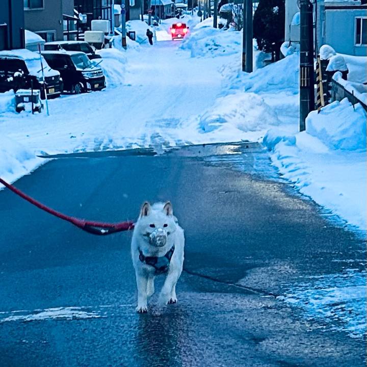 499685ff 8001 43c6 8cb6 80f22b842fee 1736287803944