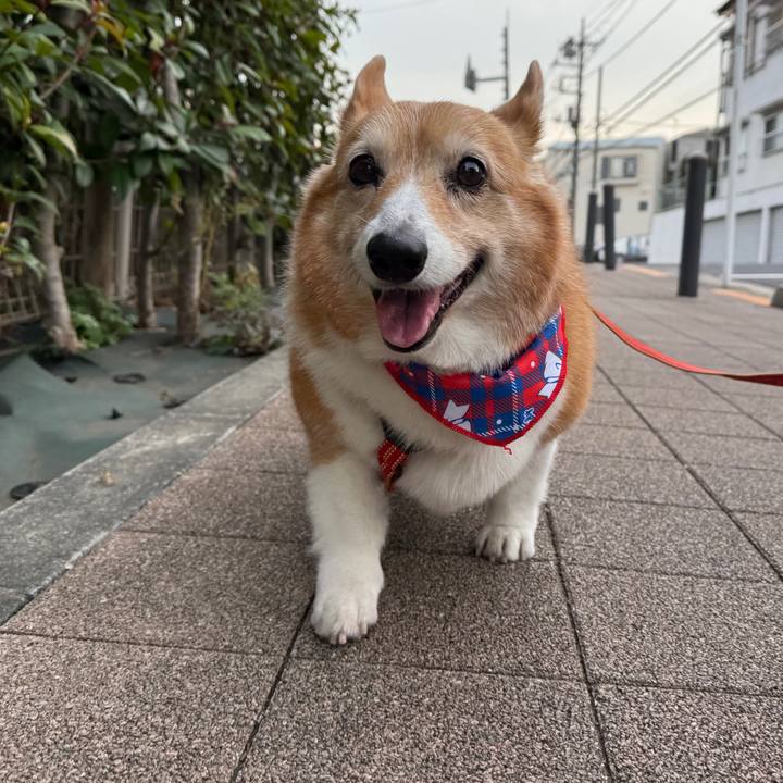 4996ab60 34c2 4900 b242 cae3f68bb40f 1771055456194