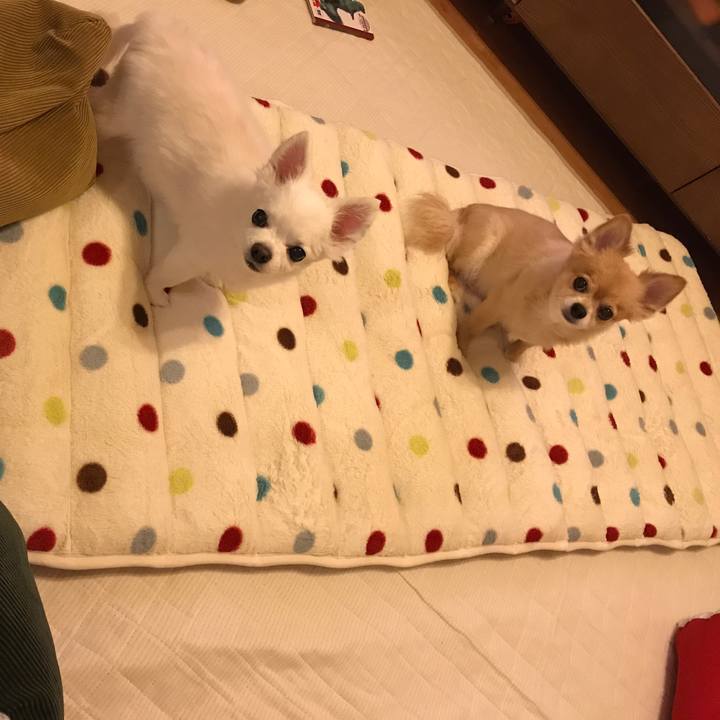 4996cdbf b212 4536 8524 6f644e500441 1507993398025