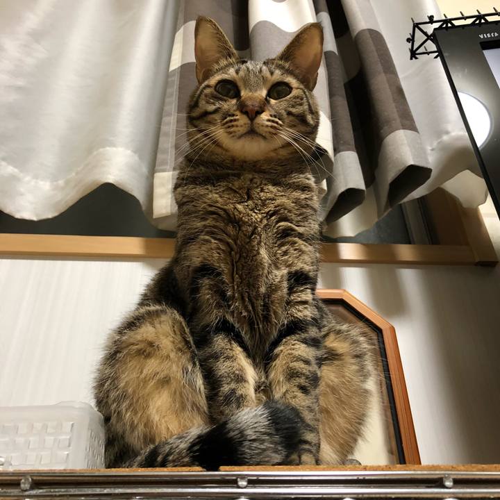 4996f3d4 e3e8 4cb4 a2eb 3af3a159e501 1520610325541