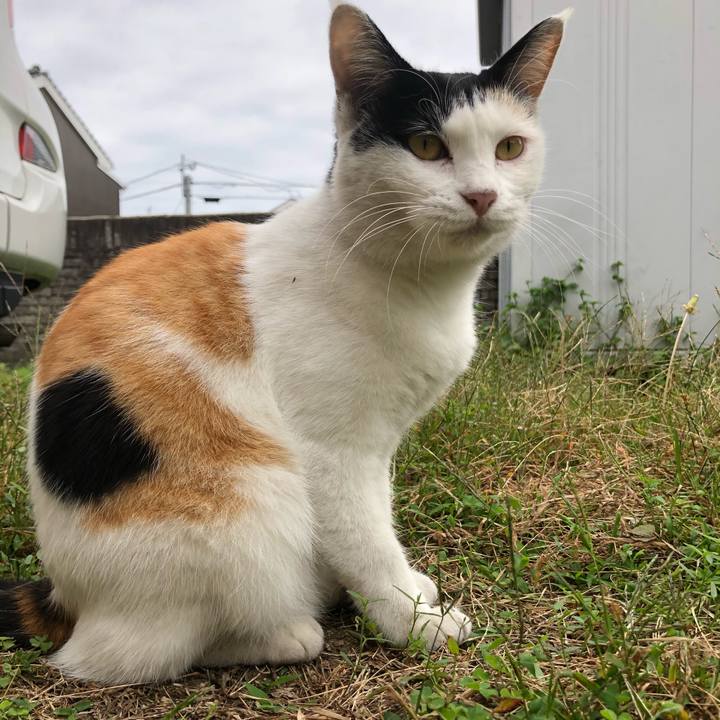 4997067e 7744 473f 9776 b517ac2f4a10 1602371512863