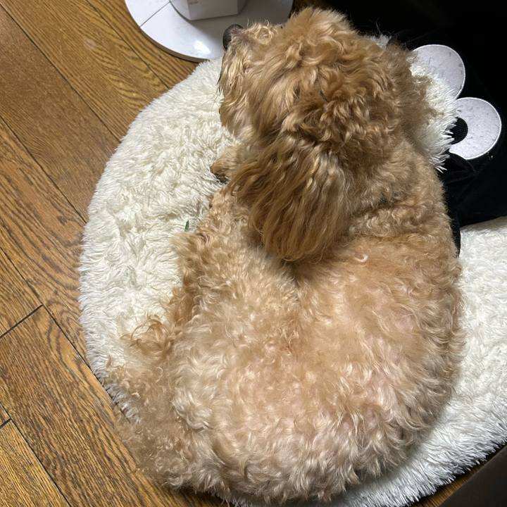 49971290 d93d 4066 936c 942eb8ecefe4 1746225091799