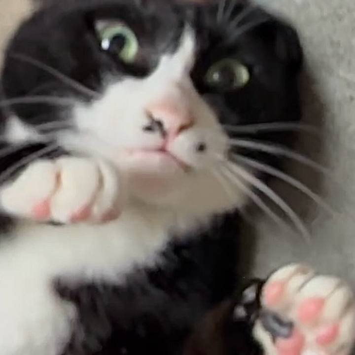 49977321 5786 4b18 ad1b 0ca3f2ba1049 1779936275035