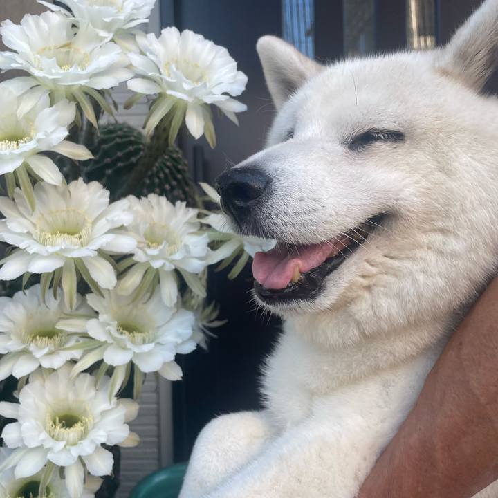 4997903d d18d 4706 b7be c88d61e00b0d 1724679080297