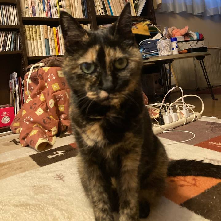 499794bc 75eb 44e9 b1a1 7d731d622dcc 1618047449272