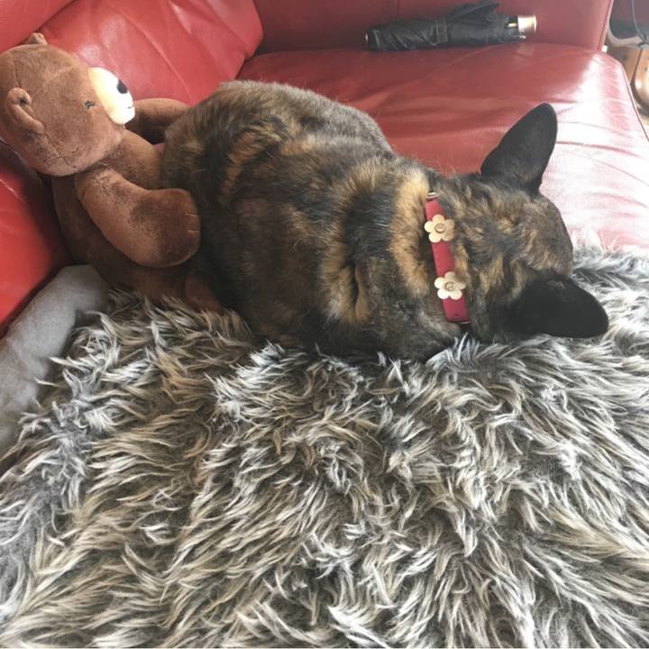 4997a238 4890 494e 8d50 1861fc74410d 1759707059174