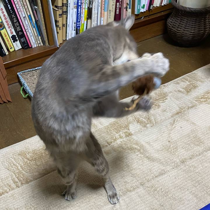 4997c6ce 069b 4eee 925d 8c698c0170a7 1578827318416