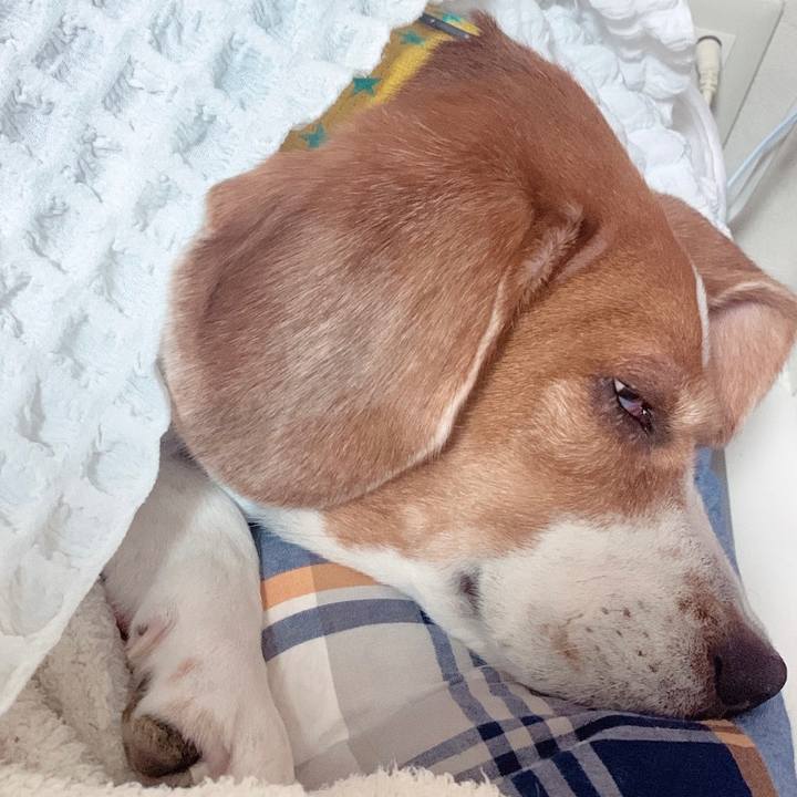 4997c876 2c04 4205 a352 6172def19423 1680096073330