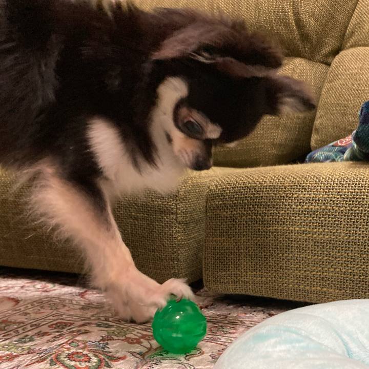 49988720 340a 4444 a3d1 fe46e95c511f 1661611176686