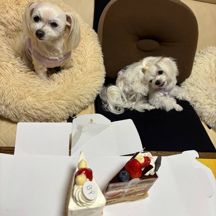 4998b099 cc2c 4096 a006 b7b36a5b0949 1764329648153