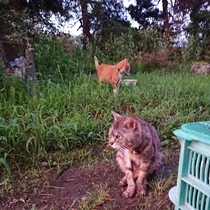 4998dc1e 77a0 4666 ac0b 78ea1550303b 1597262664040