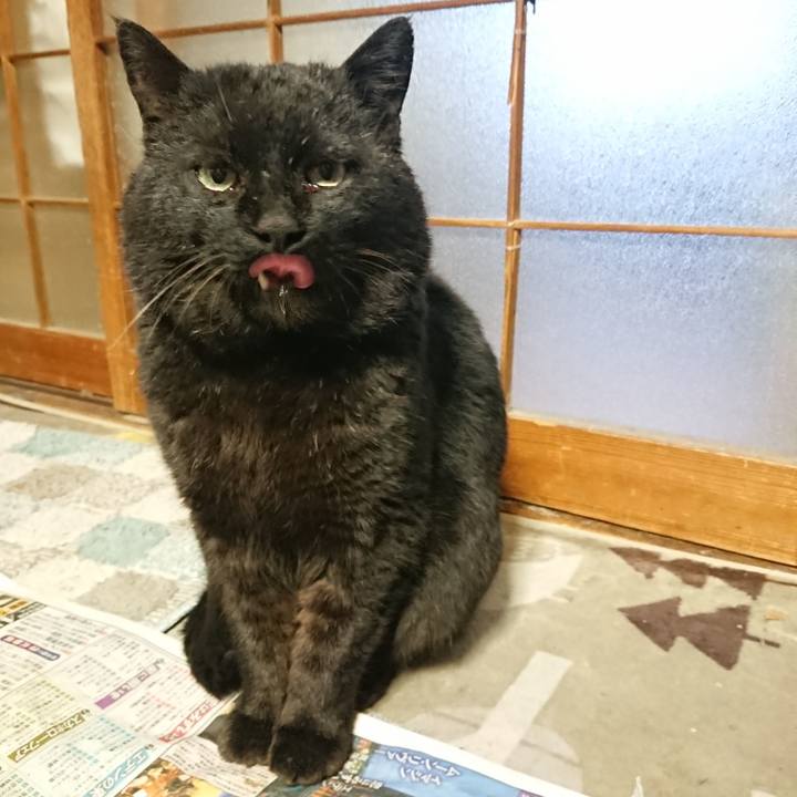 49991b3c c990 45ce 8ca2 b7d8c984d623 1650101802125