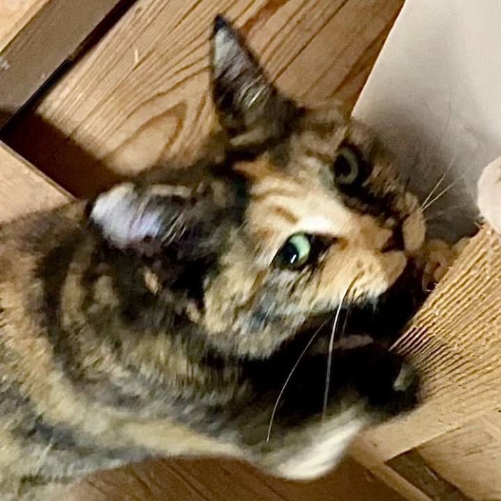 49995aa6 c6a6 47b4 aac0 c6cff96a9512 1739410847979